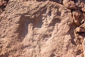 Dinosaur Footprint