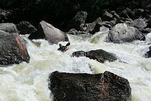 Gore Rapid