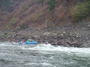 Ranier Rapid