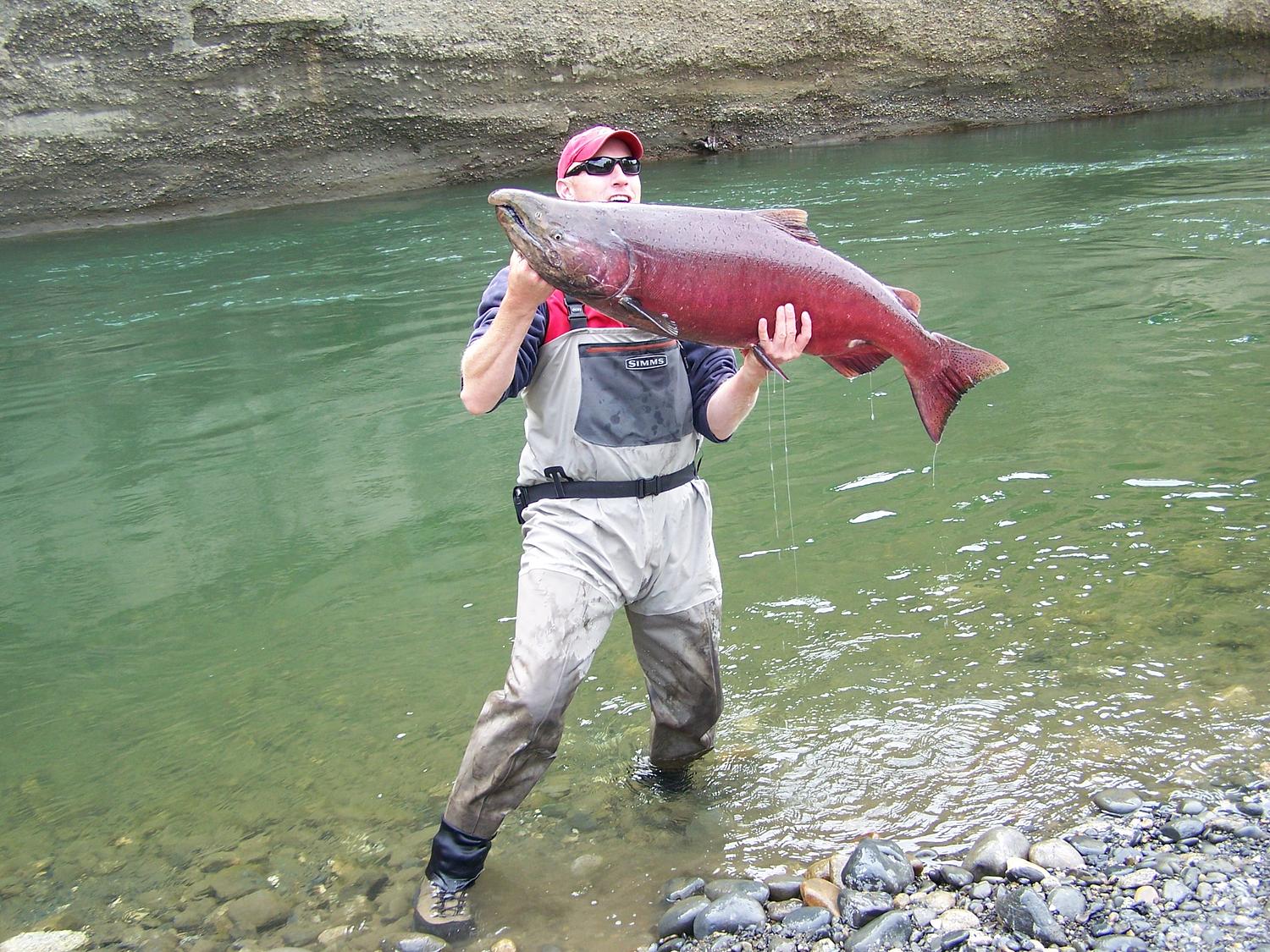 Photo of Chinook Salmon