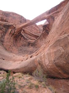 Ring Arch